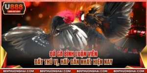 Đá Gà Bình Luận Viên Đầy Thú Vị, Hấp Dẫn Nhất Hiện Nay
